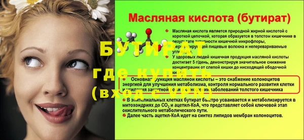 молекула духа Богданович