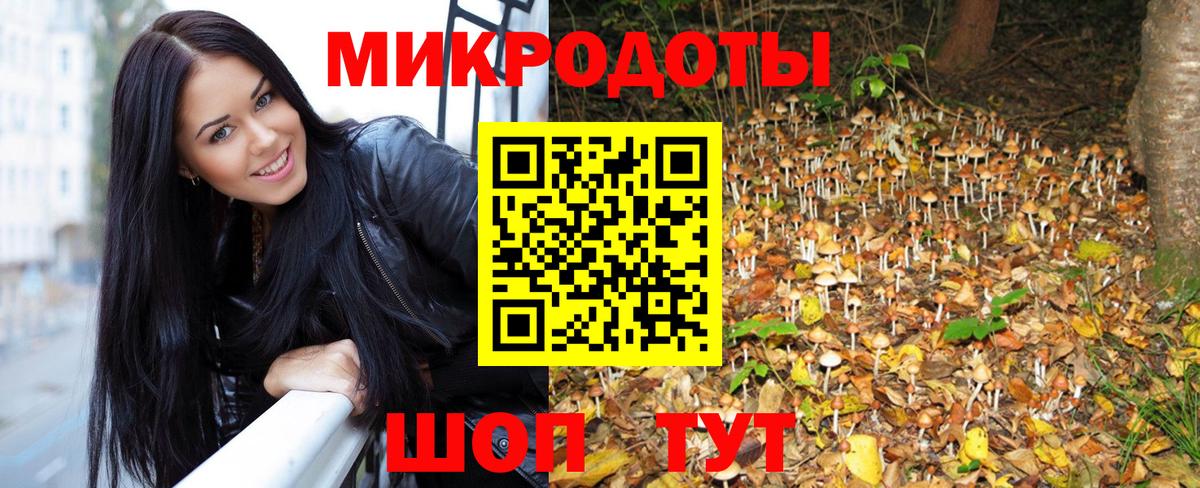 Псилоцибиновые грибы MAGIC MUSHROOMS  Галлюциногенные грибы Psilocybine cubensis  Каменск-Шахтинский  Вход с VPN 